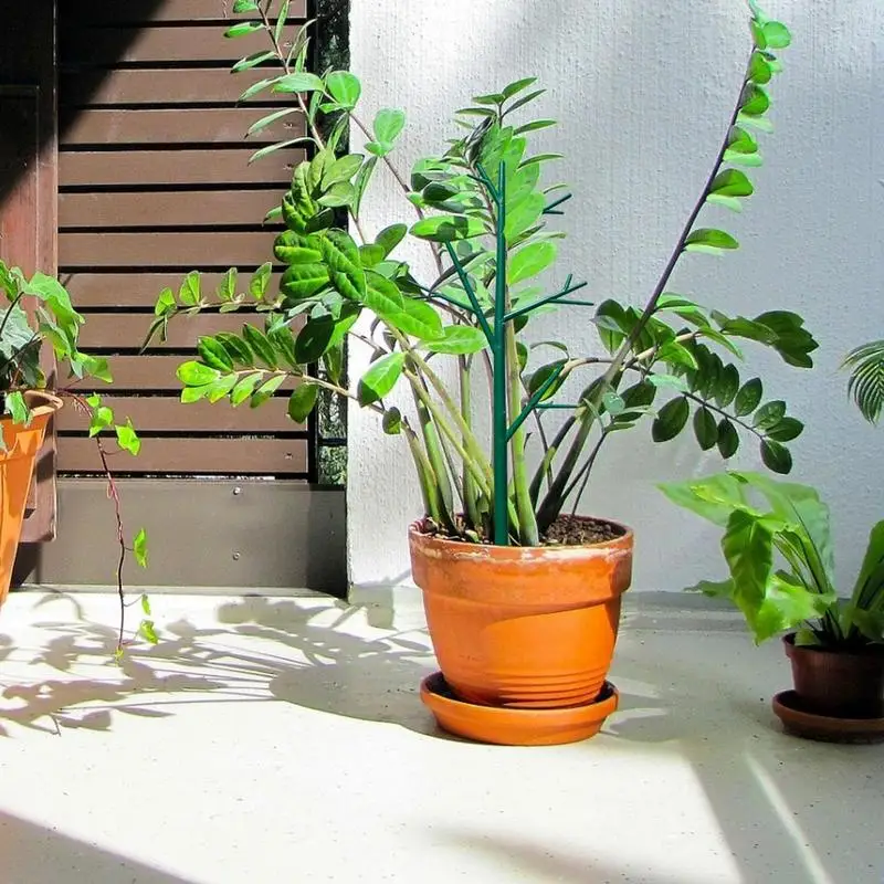 Шпалера для комнатных растений 5 штук Шпалера в форме дерева для вьющихся растений, Опорные колья для комнатных растений, Маленькая Шпалера для комнатных горшков