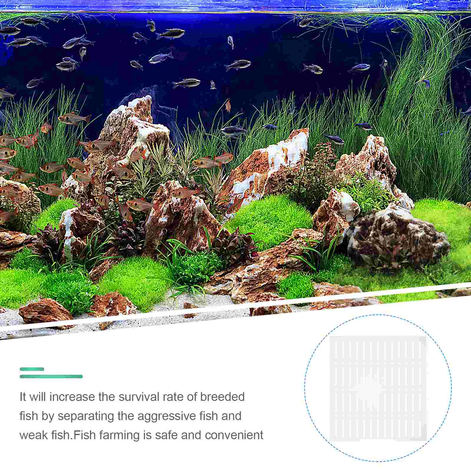 1 Комплект акриловой разделительной доски для аквариумных рыбок для смешанного разведения